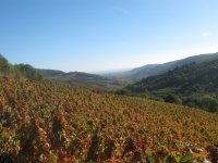 Balade oeonolgique des crus du Beaujolais